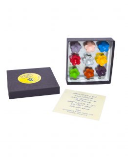 תשעה מגנטים מקרמיקה בצורת פרח