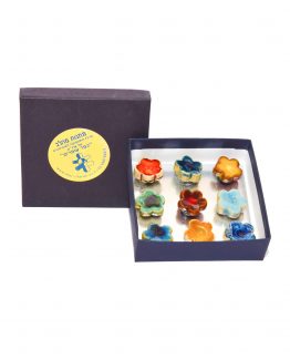 סט תשעה מגנטים